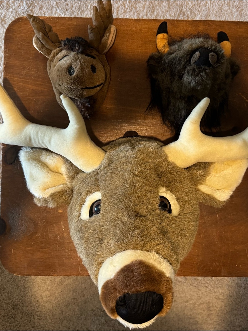 Stuffed animal heads for nursery room